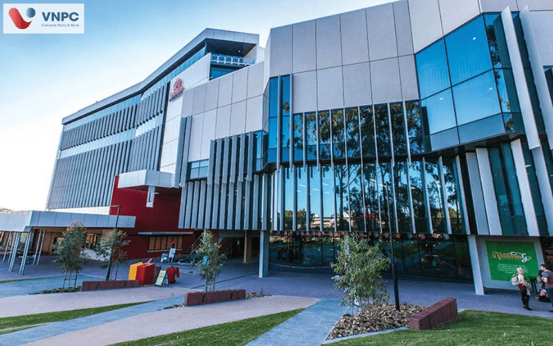 Griffith University
